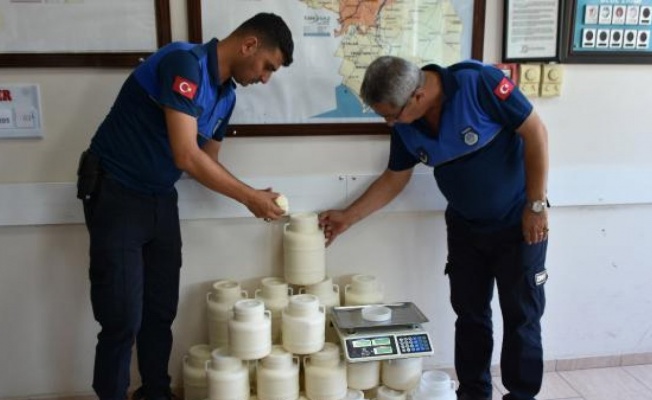 Tarsus'ta  halk sağlığına zararlı 830 kilo peynir ele geçirildi