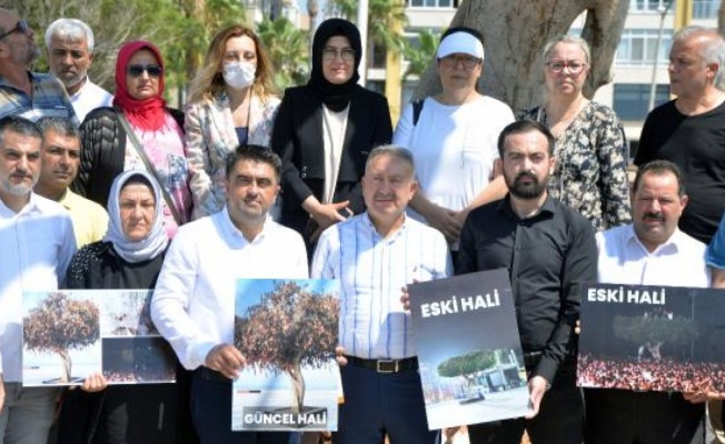AK Parti'li Ercik'ten Mersin Büyükşehir Belediye yönetimine 'ağaç' tepkisi