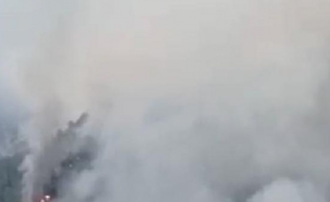 Mersin'de orman yangını 2'nci gününde