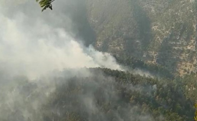 Mersin'de orman yangını 2'nci gününde (3)