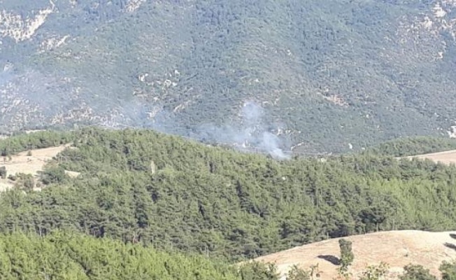 Adana'da 2 ilçede orman yangını (1)