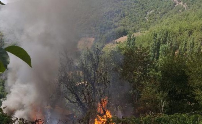 Adana'da ormana yakın ev, alev alev yandı
