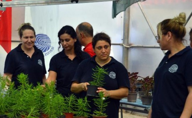 Adana'ya 'Tıbbi Aromatik Bitki Üretim Tesisi'