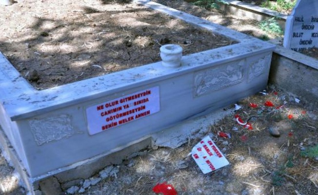 Aile mezarlığındaki Türk bayrağı motiflerini parçaladılar