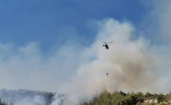 Mersin'de orman yangını (1)