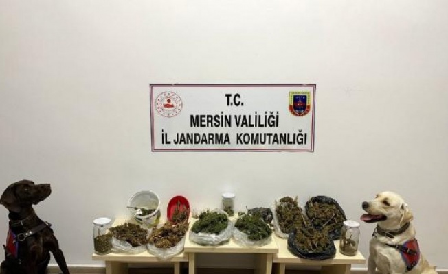 Mersin’deki uyuşturucu operasyonunda 1 tutuklama