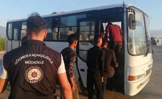 Osmaniye'de, polisin durdurduğu otomobilden 6 kaçak göçmen çıktı