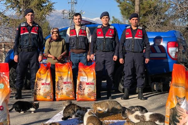 300 kedi besleyen kadına jandarmadan mama desteği