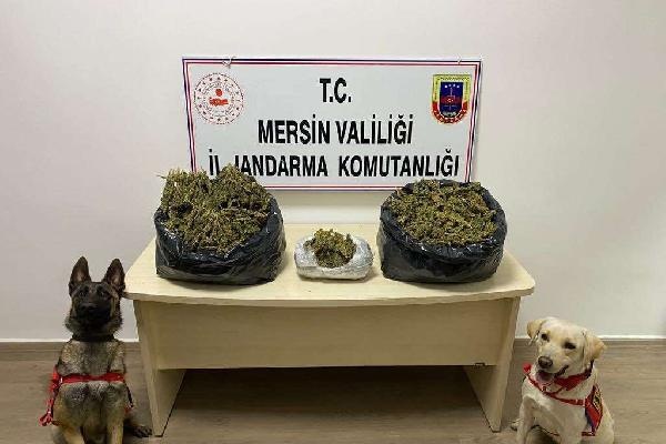Mersin'de uyuşturucu operasyonu: 2 gözaltı