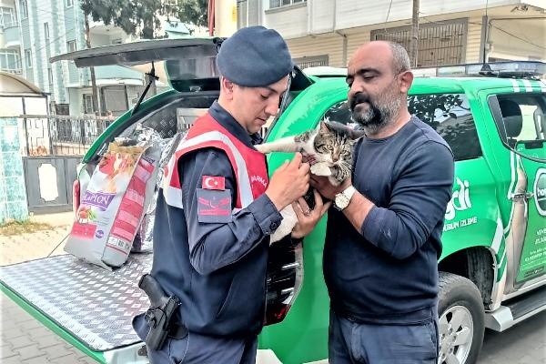 Osmaniye’de ağır hasarlı binalarda mahsur kalan iki kedi, kurtarıldı