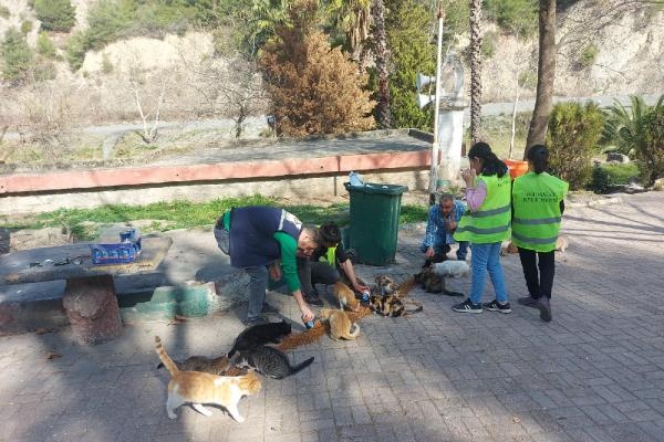 Osmaniye’de, sokak hayvanlarına mama desteği