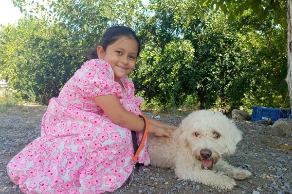 7 yaşındaki Hifa'nın çalınan köpeği 'Çıtır', bulundu