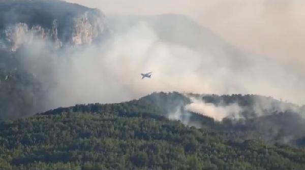 Adana'da orman yangını (3)