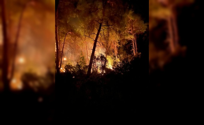 İmamoğlu'nda 3 gün arayla 2'nci orman yangını