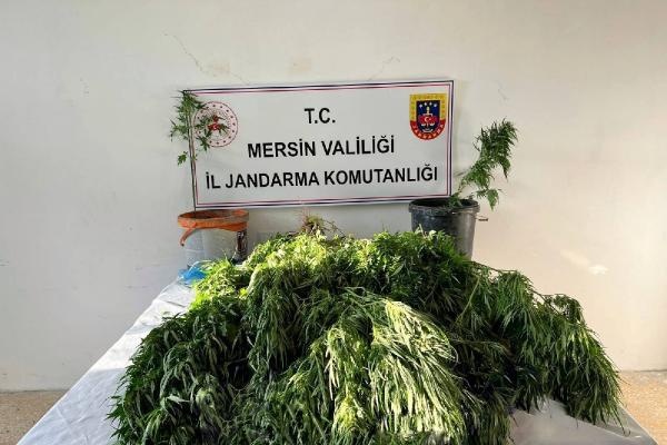 Mersin'de uyuşturucu operasyonu: 3 gözaltı 