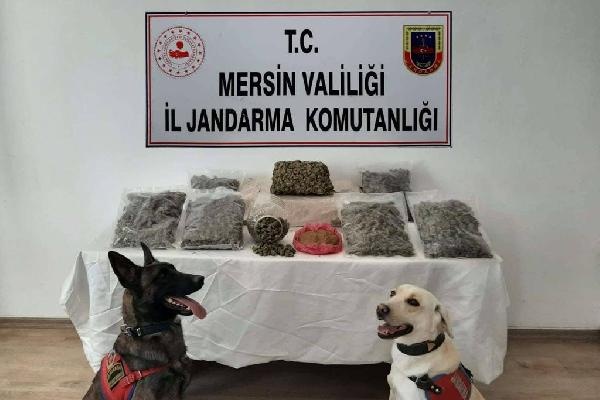 Mersin'de uyuşturucu operasyonu: 2 gözaltı