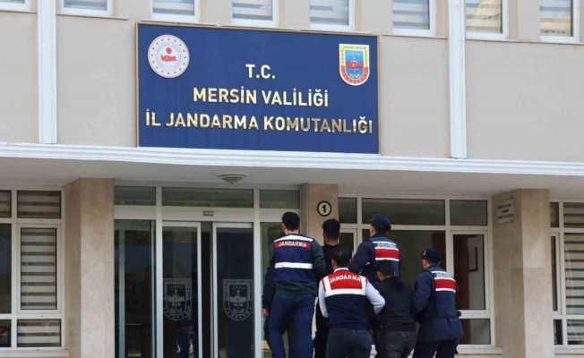 Mersin’de MİT ve jandarmadan PKK operasyonu: 2 terörist yakalandı
