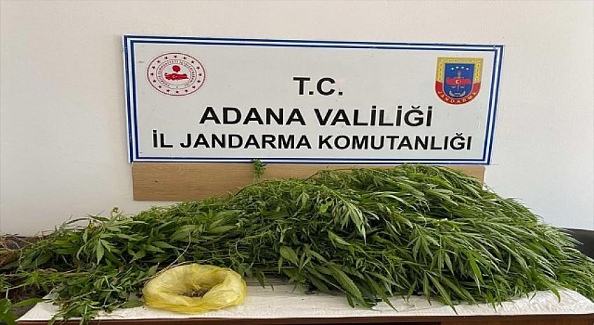 Adana'da uyuşturucu operasyonlarında 15 şüpheli yakalandı.