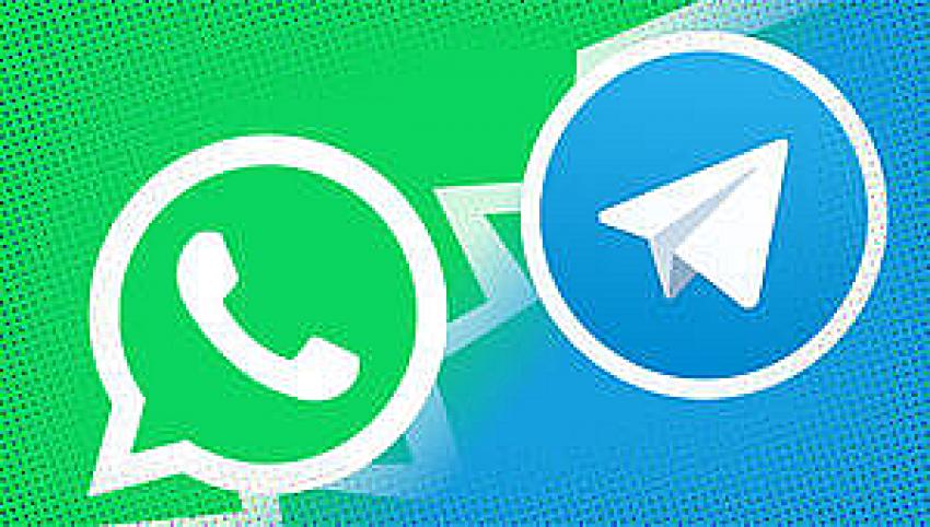 Dev Ankette Telegram ve Whatsap Çıktı