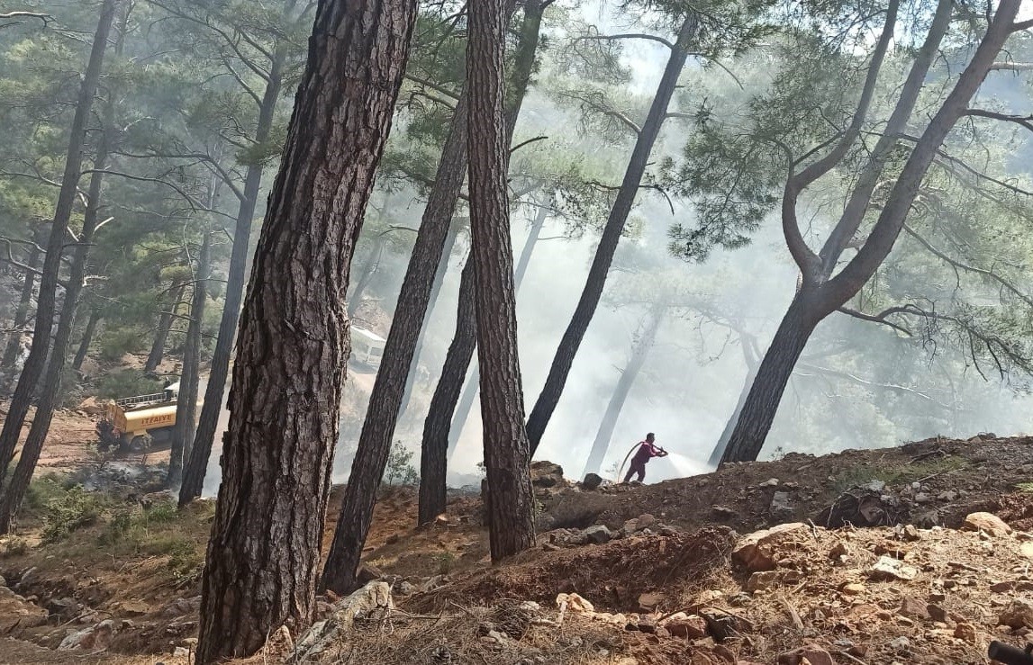 Bozyazı'daki orman yangını büyümeden söndürüldü 