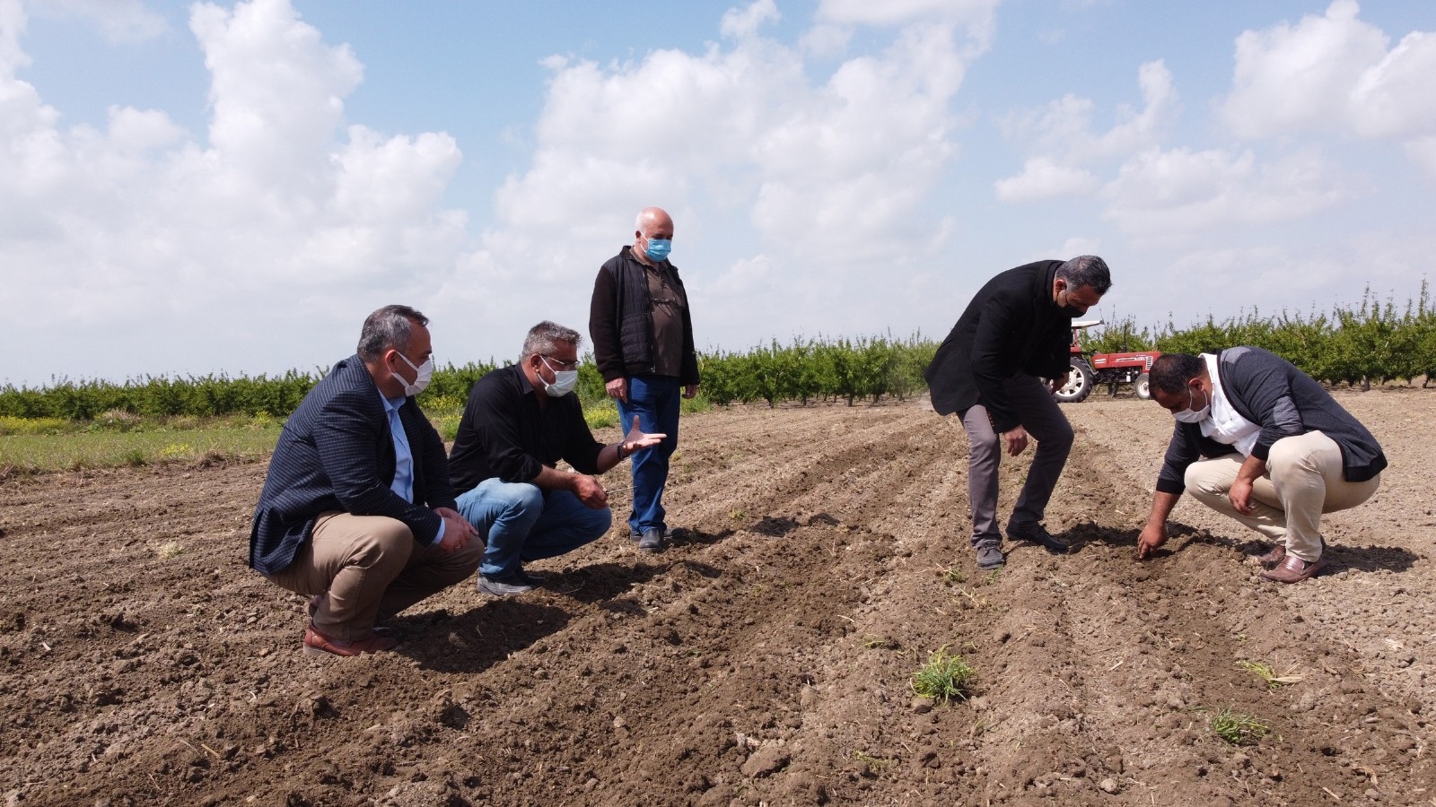 Tarsus'ta yerli tohum ekimi artıyor 