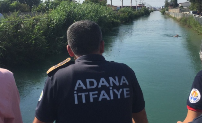 Adana'da sulama kanalına giren çocuk hayatını kaybetti.