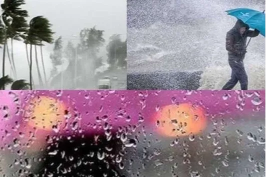 Trabzon, Rize ve Artvin