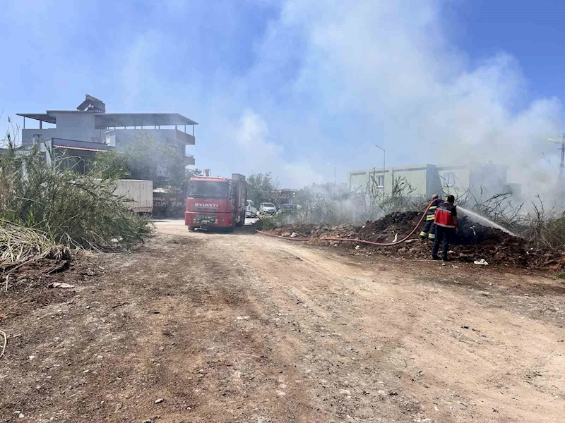 Arsuz’da sazlık yangını
