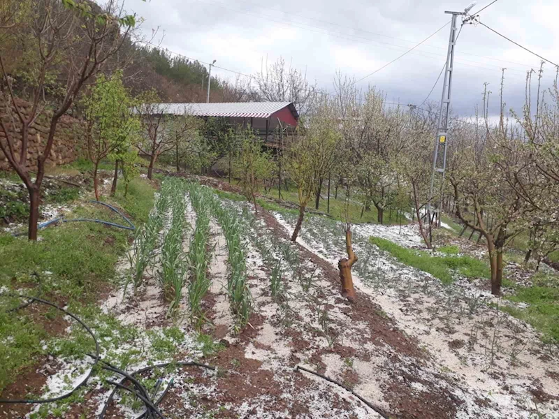 Kozan’da dolu yağışı etkili oldu
