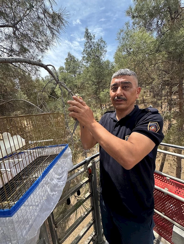 Kafesinden kaçan muhabbet kuşunu itfaiye yakaladı
