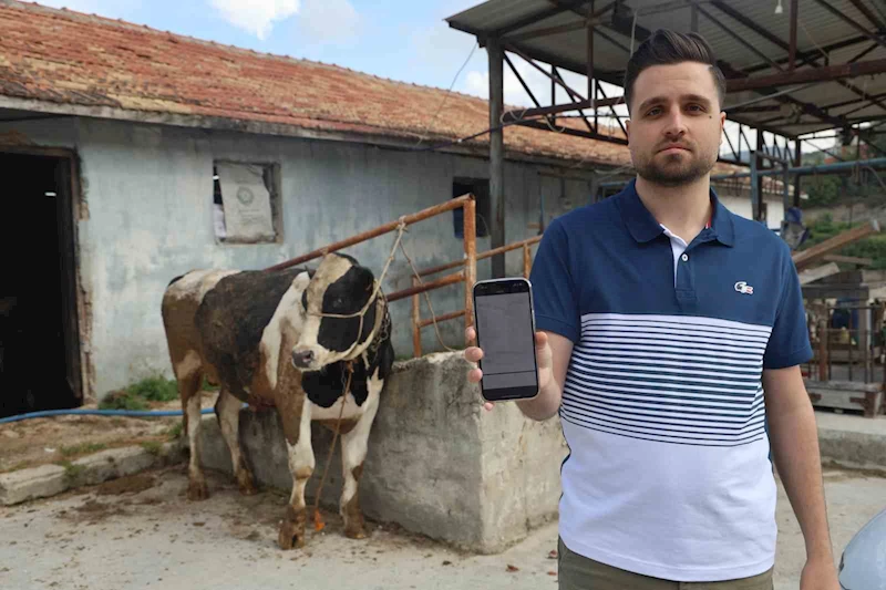 Sosyal medyada gördüğü kurbanlık danaları almak isterken 200 bin TL dolandırıldı
