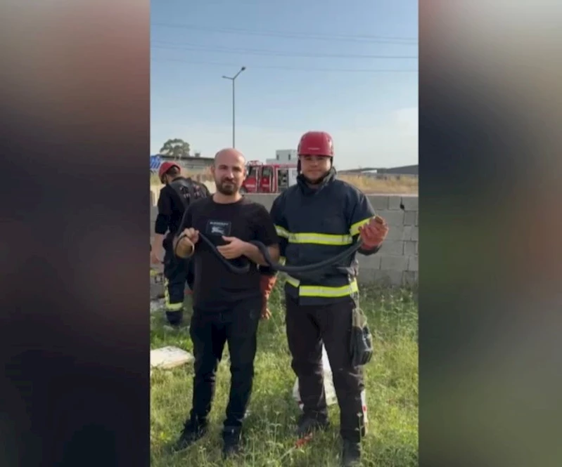 Bahçeye giren yılanla hatıra fotoğrafı çektirdiler
