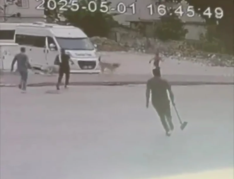 Sokak  köpekleri çocuğa saldırdı
