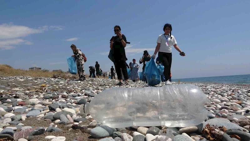 Caretta carettaların yuvalama alanları temizlendi
