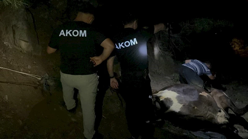 Kuyuda bulunan kayıp inek saatler süren çalışmayla kurtarıldı
