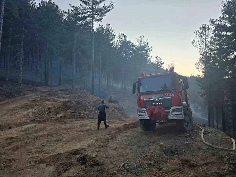 Orman yangını kontrol altına alındı
