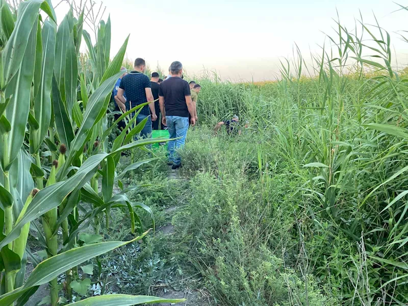 Adana’da sazlıklar arasında bir kişi ölü bulundu
