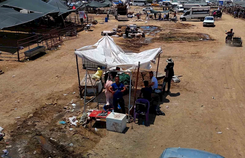 Kurbanlık fiyatları yüzde 40 düştü
