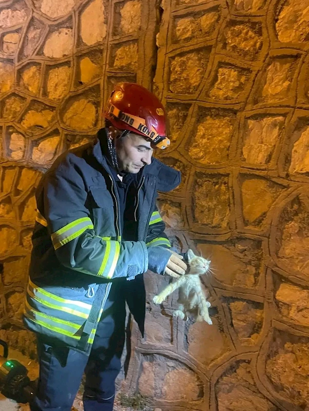 Duvar arasında mahsur kalan yavru kediyi itfaiye kurtardı

