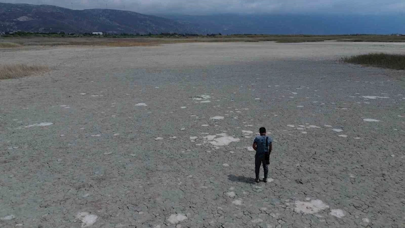 Kuraklığın etkisiyle çöle dönen Milleyha’da kuş gözlemcileri gelecekten ümitli
