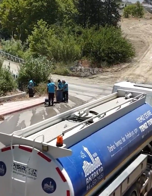Antakya’da yangından etkilenen bölgelerde hummalı temizlik çalışması
