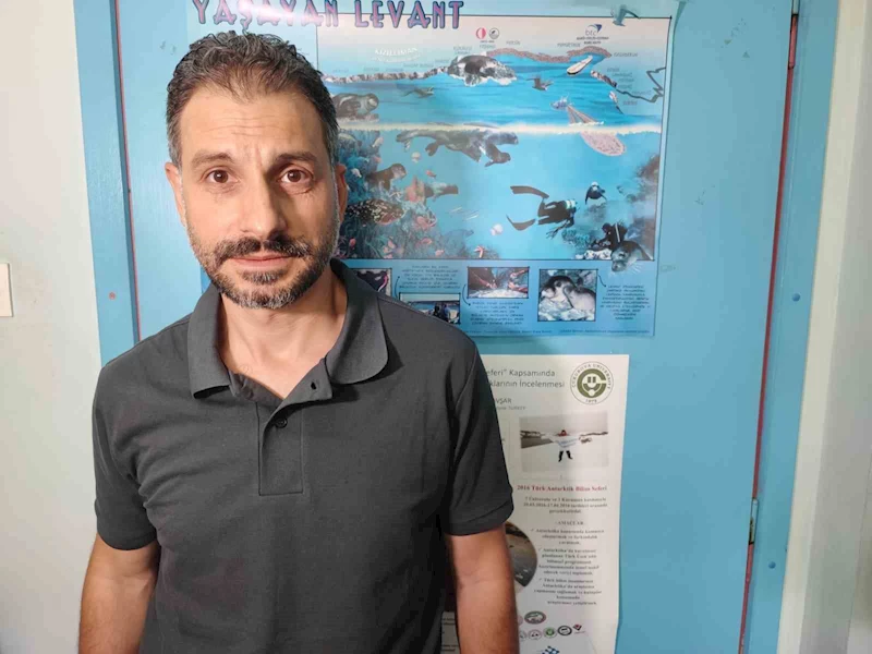 Akdeniz’de deniz suyu sıcaklığı arttı zehirli balıklar geldi
